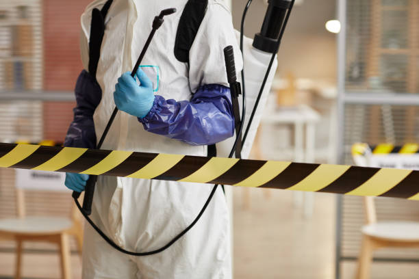Professional Sewage Cleanup technician working in West Dennis, MA